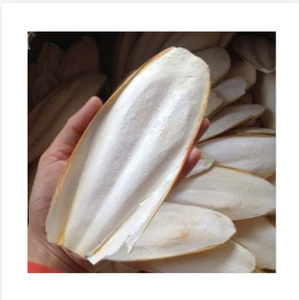 Seiche séchée entière 10-20cm, riche en protéines, produit de la mer de première qualité du Vietnam, emballage en sac, nutritif, conservation 2 ans - Product Image 1