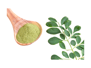 Poudre de feuilles de Moringa 100% pure et biologique, riche en nutriments, produit botanique à base de plantes exporté du Vietnam, aliments fonctionnels - Product Image 1