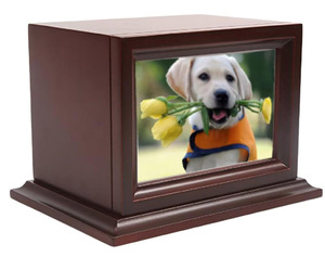 Urna Funeraria de Madera para Cenizas de Mascotas, Urnas de Cremación de Madera para Cenizas de Perros y Gatos, Urnas de Madera de Palisandro a Bajo Precio - Product Image 1