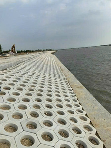 Moule en plastique hexagonal pour dalle de béton avec trou rond - Product Image 3