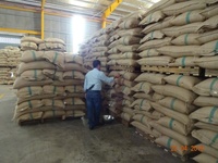 Café Robusta du Vietnam, Grains Verts, Nouvelle Récolte, Vente en Gros, Haute Qualité, Grade 1, Prix Bas, Usine de Premier Plan HANFIMEX 0084915196568 Humide