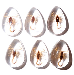 Cabochon Golden Scorpion Pear Shape Cut <b>Top</b> 25x17 mm White Flat Bottom for Crafts and Jewelry Making - Product Image 5
