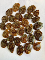 Lot de pierres précieuses d'ammonites naturelles en gros, cabochons d'ammonites naturelles, pierres d'ammonites en vrac pour la fabrication de bijoux, pour des sensations positives