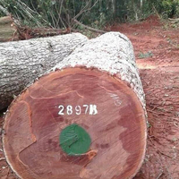 Premium KRAITA Limited West African Iroko Sawn Timber | Iroko Lumber | Eco-Friendly Water Resistant Rough Sawn KD Timber