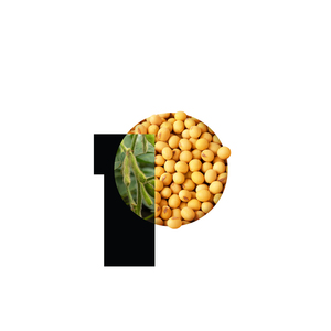 PRECIO COMPETITIVO de VIETNAM: FRIJOLES DE SOJA VERDES FRESCOS, NO MODIFICADOS GENÉTICAMENTE, GRANO DE SOJA CON ALTO CONTENIDO DE PROTEÍNA Y VALOR NUTRICIONAL, HARINA DE SOJA - Product Image 1