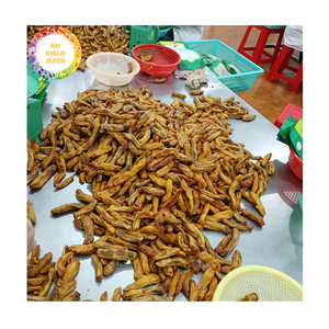 Fournisseur de bananes séchées naturelles, moelleuses et croquantes en vrac, ingrédient pour snacks, prix usine Vietnam - Product Image 3