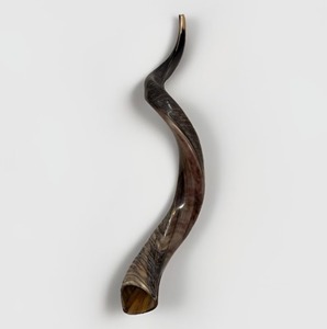 Corne à souffler professionnelle, instrument de musique pour événements en plein air, célébrations, fans de sport, fêtes et activités de divertissement - Product Image 2