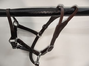 EQESTRIAN English Saddle <b>Style</b> <b>Head</b> Collar Halter Softy Padded in Black & Brown with Brass or Chrome Plated Leather Fittings - Product Image 2