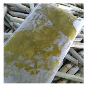 Jugo de caña de azúcar congelado a precio de fábrica, suministro a granel de Vietnam, jugo de caña de azúcar de alta calidad para el mercado - Product Image 1