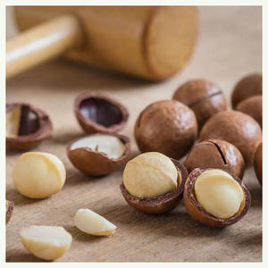 Nueces de Macadamia de Alta Calidad Cultivadas Naturalmente, 100% Maduras, a Precio de Mayoreo Económico - Product Image 6