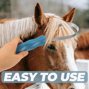 Brosse à poils de cheval, brosse à poils de chien, grattoir pour chien, grattoir de toilettage pour chien, brosse à cheval pour toilettage - Product Image 6