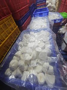 Ingrediente de Raíz de Taro Congelada para el Procesamiento de Alimentos, para la Elaboración de Bebidas y Postres con Textura Estable - Product Image 5