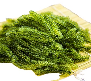 LIVRAISON RAISINS DE MER FRAIS DU VIETNAM À OUTRE-MER - Product Image 1