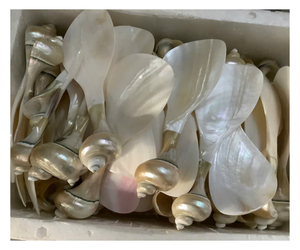 ชุดช้อนมุกพร้อมบรรจุภัณฑ์แบบกำหนดเองสำหรับคอลเลกชันของขวัญพรีเมียม - Product Image 1