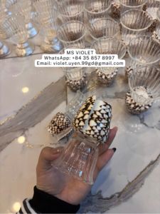 ผู้จัดจำหน่ายเปลือกหอยสังข์ธรรมชาติ แก้วไวน์เปลือกหอย แก้วไวน์เปลือกหอยเวียดนาม อุปกรณ์บาร์สำหรับดื่ม ของขวัญงานแต่งงาน - Product Image 6