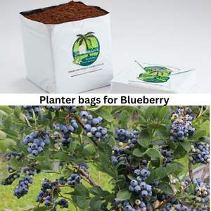 ถุงปลูกแบบเปิดด้านบนทำจากวัสดุมะพร้าวธรรมชาติ 100% เหมาะสำหรับการปลูกพืชไร้ดิน ย่อยสลายได้ เป็นมิตรต่อสิ่งแวดล้อม - Product Image 3