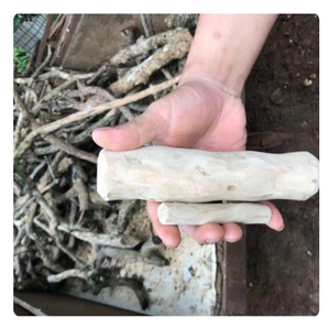 CHEWS DE CHIEN EN BOIS DE CAFÉ DE HAUTE QUALITÉ: JOUETS EN VRAC POUR ANIMAUX DE COMPAGNIE EN GROS - Product Image 3