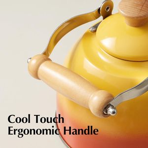 Bollitore da tè in acciaio inossidabile con manico ergonomico Cool Touch, teiera a fischio per piano cottura, per uso alimentare - Product Image 3