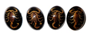 Scorpion doré, spécimen réel, cabochon en plastique ovale 30x40 mm, fond plat noir, moderne, multi-occasions pour l'artisanat et la fabrication de bijoux - Product Image 6