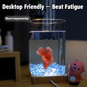 Aquarium de bureau créatif en verre pour betta avec base lumineuse LED, décor en perles de cristal de glace, mini-bol aquascape, ensemble complet - Product Image 2