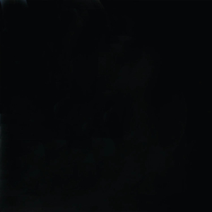 Nouveau T-shirt personnalisé pour homme 100 % coton, col rond, manches courtes, épais, uni, haute qualité, respirant, séchage rapide, anti-plis - Product Image 5