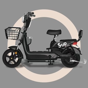 Bicicleta Eléctrica con Marco de Acero al Carbono de 24 Velocidades, Batería de Litio de 48V, con Bloqueo Antirrobo, Nuevo Estándar Nacional de China - Product Image 1