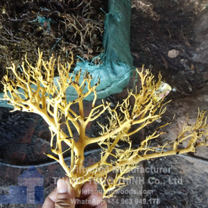 Natural Driftwood Aquarium Decoration Irregular Shape For Fish <b>Tank</b> Ornament Made in VietNam - Product Image 6