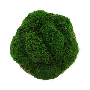 Decoración moderna de plantas artificiales de musgo en maceta grande de hierba de fresa Diseño interior llamativo - Product Image 5