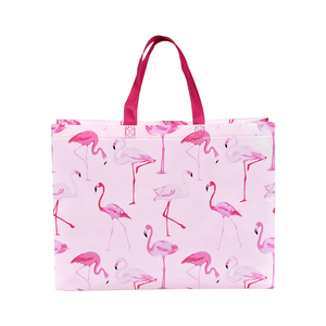 Ventas de fábrica Eco Friendly Compras promocionales Mango de bucle ambiental PP Bolsas de tela no tejida - Product Image 5