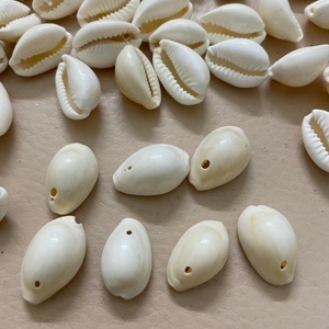 Coquillages de cauris avec trou pour la création d'objets artisanaux et de bijoux, prix bas, coquillages bruts de cauris. - Product Image 3