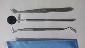 Kit de Examen Dental Profesional, Juego de Instrumentos de Diagnóstico de Acero Inoxidable, Espejo, Sonda, Pinzas, Bandeja, Manual, Certificado CE - Product Image 5