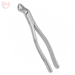 Forceps d'extraction dentaire supérieur antérieur, pinces à racines, argentées, à poignée moletée, instrument chirurgical manuel de classe I - Product Image 6