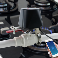 Pengontrol Katup Air dan Gas ZigBee Rumah Pintar, Kontrol Suara Nirkabel, Timer Universal, Manipulator Katup WiFi