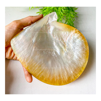 Plato de Lujo de Concha de Nácar Natural, Bandeja Decorativa Hecha a Mano para Servir, Venta al por Mayor para Decoración del Hogar 2026