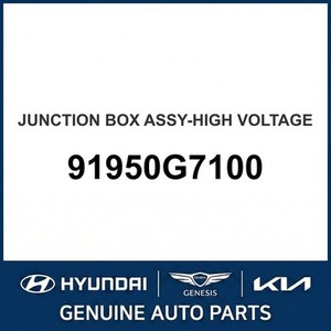Nouveaux fusibles et boîtes à fusibles IONIQ 91950G7100 - Product Image 1