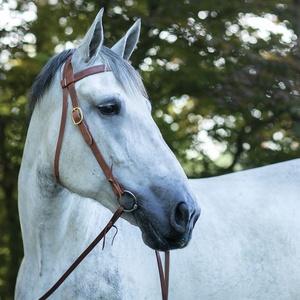 Headstall d'équitation en cuir de style occidental de qualité supérieure - Product Image 2