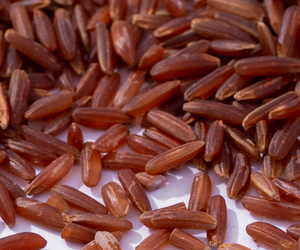 Arroz Rojo Vietnamita Premium (Arroz Sangre de Dragón) con Antioxidantes Naturales, Bajo IG, Saludable, Integral, Alto en Fibra, Proveedor de Arroz - Product Image 4