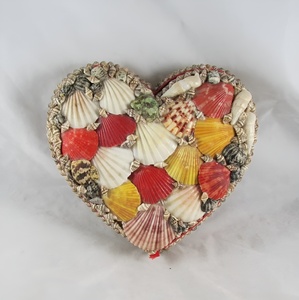 Sea <b>Shells</b> Clam <b>Shell</b> Covering <b>Jewellery</b> Packaging Gift Boxes Travel Jewelry Ring High Quality Luxury Box - Product Image 6