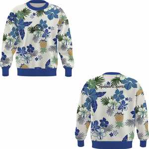 Sweat-shirt à capuche en polyester pour sublimation, contrôle avancé de l'humidité, pour la production et l'exportation de vêtements de sport personnalisés - Product Image 4