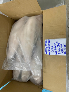 Filete de Pangasius Congelado con Piel, Grado A/B, 10-12cm, a Granel, 24 Meses de Caducidad, Suministro de Vietnam - Product Image 2