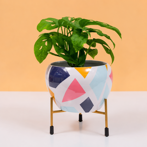 Maceta Moderna para Plantas de Interior Monstera, Maceta de Cerámica con Soporte Dorado, Decorativa para Hogar y Jardín, Porta Macetas - Product Image 3