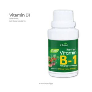 High Quality <b>Vitamin</b> B1 Plant Nutrient <b>Liquid</b> Organic Fertilizer Anti Stress for Plant Growth & Root Development - Product Image 2
