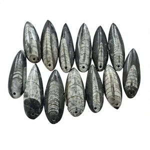 Cabochon en cristal d'Orthocéras naturel, Cabochon en pierre de poisson, Cabochons d'Orthocéras faits à la main, Pendentif d'Orthocéras en gros de bonne qualité - Product Image 1