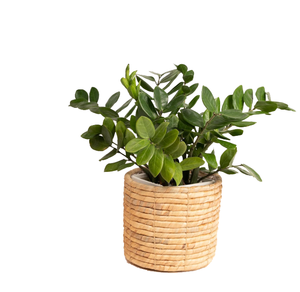 Pots de rangement au sol en jacinthe d'eau, style rétro vintage, fabriqués au Vietnam, avec poignées sculptées à la main, tissés à la main, écologiques et durables - Product Image 2