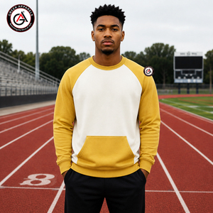 Alpha en gros |   Sweat-shirt en polaire uni pour homme de la fraternité Phi Embroidery, hiver |   Col rond personnalisé brodé sur le devant, 100% coton - Product Image 4
