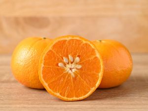 PREMIUM NATURAL ORANGE JUICE POWDER / OEM ODM BULK SPRAY DRIED ORANGE POWDER FOR BEVERAGE - Product Image 3