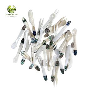 Bulk Mother of Pearl Caviar <b>Coffee</b> <b>Spoon</b> Small Shell Classic Luxury Business Gifts Salt Spice Dessert Eco-Friendly Wholesale - Product Image 6