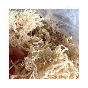 Alga Marina Gelatinosa de Vietnam, Mejor Precio de Fábrica, Alga Marina Orgánica Natural Fresca Comestible - Product Image 6
