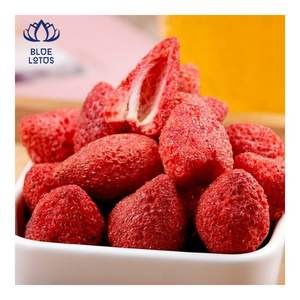 Fresas Liofilizadas 2026 de Material Superior, Fruta Crujiente para Batidos y Coberturas de Yogur - Product Image 5