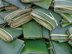 Natural Fresh Green Frozen Banana Leaf <b>Rolls</b> Food Service Commercial Supply Wholesale Exporter Manufacturer - Product Image 5